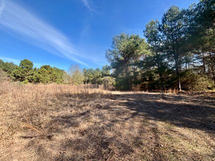 Land for sale in Leon County, Texas