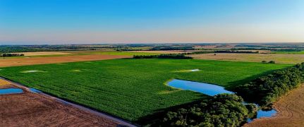Land for sale in Stafford County, Kansas