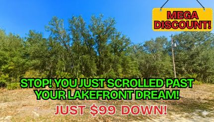 Undeveloped Land for sale in Putnam County, Florida