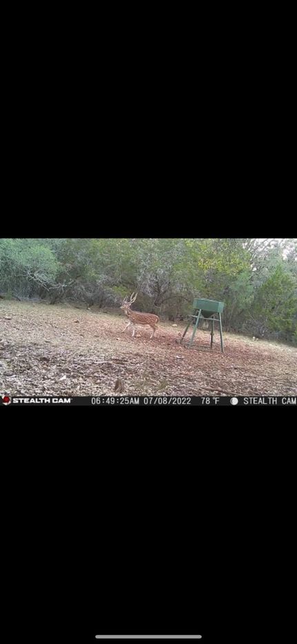 Land for sale in Uvalde County, Texas