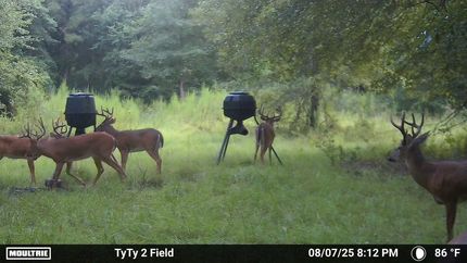 Farm and Ranch for sale in Worth County, Georgia