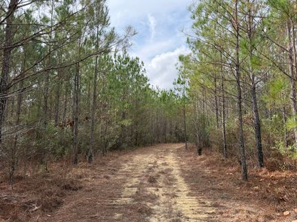 Hunting Property for sale in Washington County, Alabama