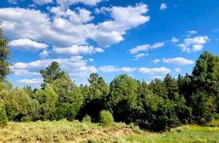 Land for sale in Archuleta County, Colorado