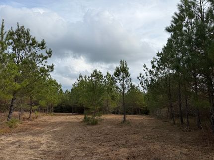 Hunting Property for sale in Washington County, Alabama