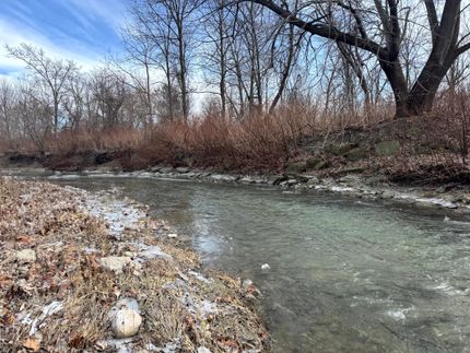Undeveloped Land for sale in Livingston County, New York