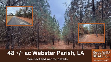 Land for sale in Webster Parish, Louisiana