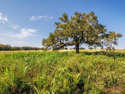 Timberland Property for sale in Comanche County, Texas