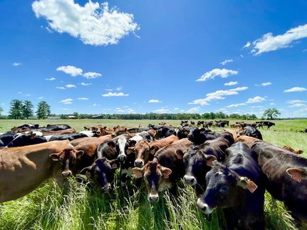 Land for sale in Juneau County, Wisconsin