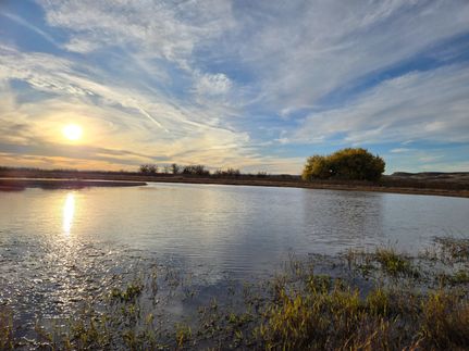 Farm and Ranch for sale in Debaca County, New Mexico