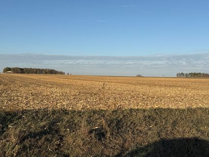 Land for sale in Olmsted County, Minnesota
