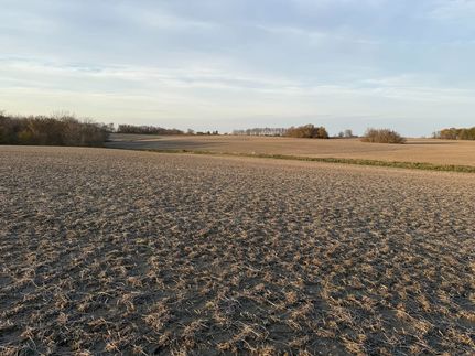 Land for sale in Olmsted County, Minnesota