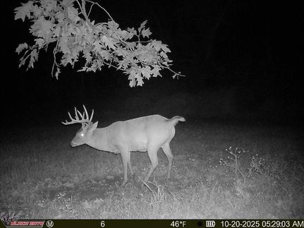 Timberland Property for sale in Alexander County, Illinois