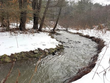 Recreational Property for sale in Allegany County, New York