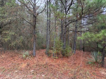 Timberland Property for sale in Cass County, Texas