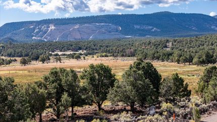 Farm and Ranch for sale in Wayne County, Utah