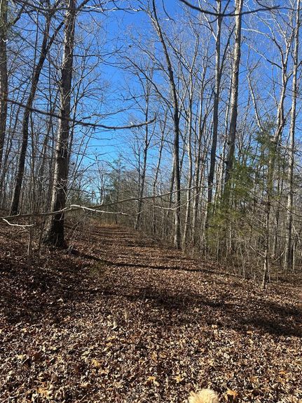 Land for sale in Overton County, Tennessee