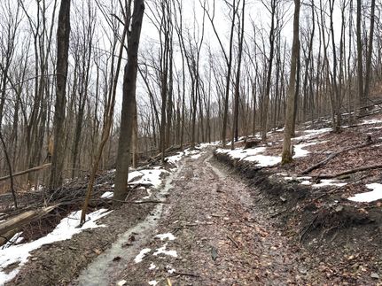 Hunting Property for sale in Cattaraugus County, New York