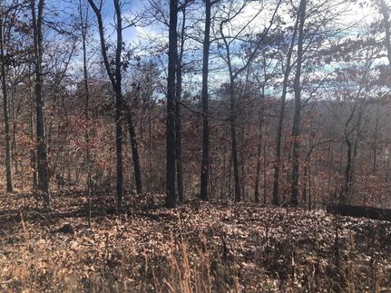 Homesite for sale in Dent County, Missouri