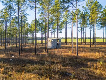 Land for sale in Lee County, Georgia
