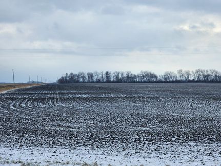 Land for sale in Pembina County, North Dakota