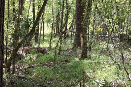 Recreational Property for sale in Sabine County, Texas
