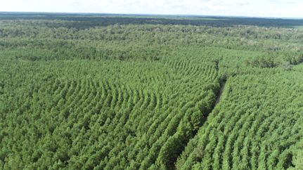 Recreational Property for sale in Sabine County, Texas