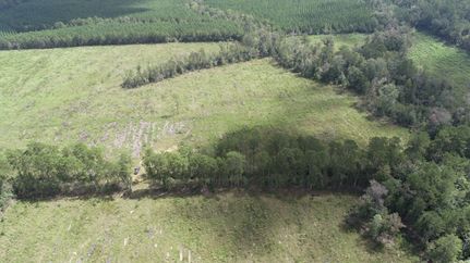 Undeveloped Land for sale in Newton County, Texas