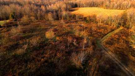 Land for sale in Ohio County, Kentucky