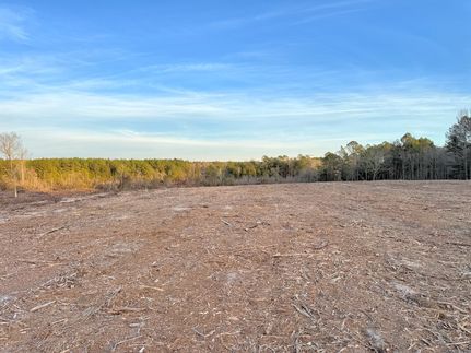 Land for sale in Marlboro County, South Carolina