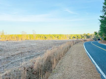 Land for sale in Marlboro County, South Carolina