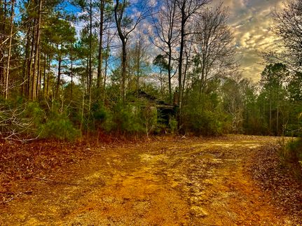 Recreational Property for sale in Walthall County, Mississippi
