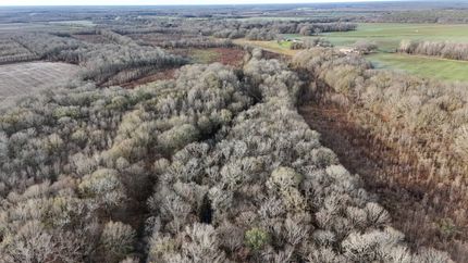 Undeveloped Land for sale in West Carroll Parish, Louisiana