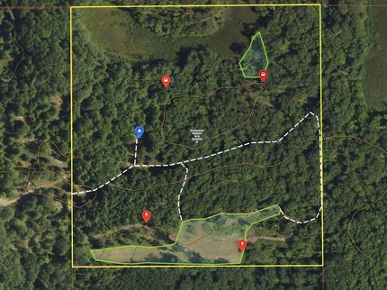 Land for sale in Osceola County, Michigan