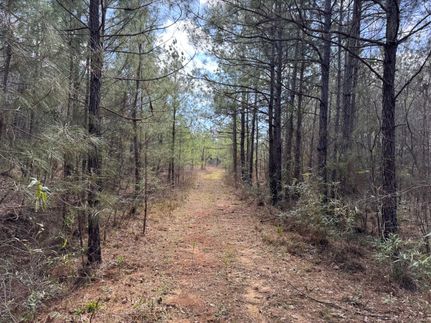 Undeveloped Land for sale in Rapides Parish, Louisiana