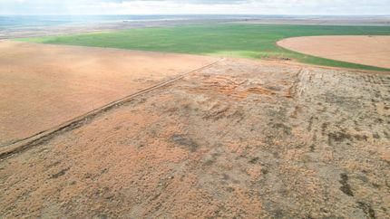 Land for sale in Lamb County, Texas