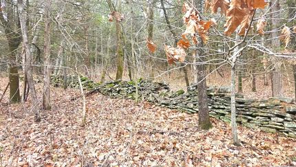 Timberland Property for sale in Linn County, Kansas