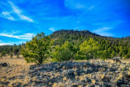 Homesite for sale in Park County, Colorado