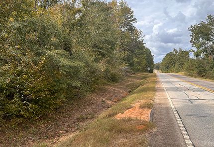 Land for sale in Burke County, Georgia