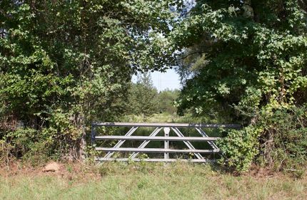 Undeveloped Land for sale in Morris County, Texas
