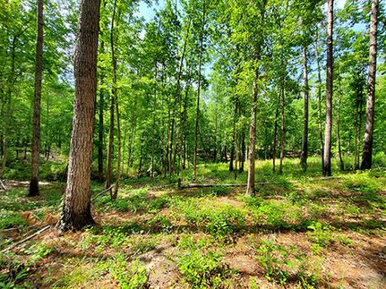 Land for sale in Glascock County, Georgia
