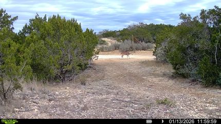 Land for sale in Val Verde County, Texas