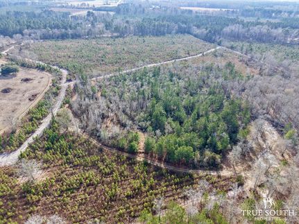 Land for sale in Bamberg County, South Carolina
