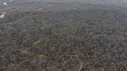 Farm and Ranch for sale in Claiborne County, Mississippi