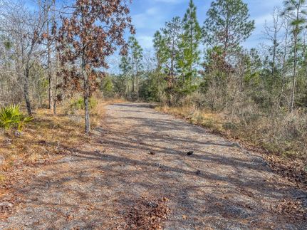 Land for sale in Calhoun County, Florida