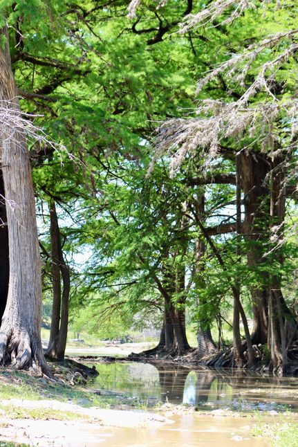 Hunting Property for sale in Kendall County, Texas