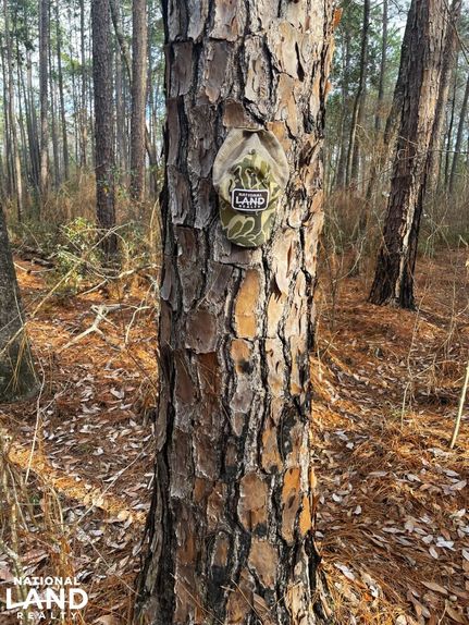 Timberland Property for sale in Baldwin County, Alabama