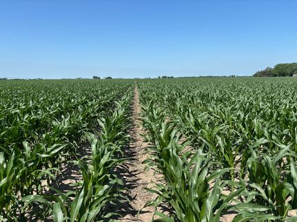 Land for sale in Kearney County, Nebraska