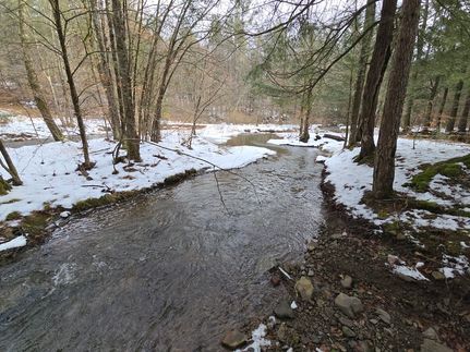 Land for sale in Chenango County, New York