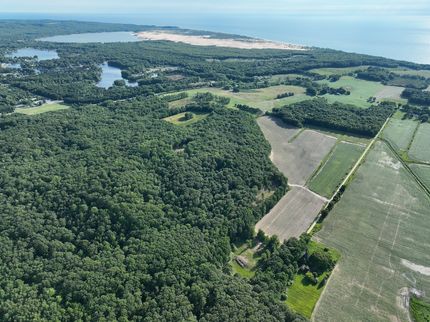 Undeveloped Land for sale in Oceana County, Michigan