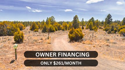 Undeveloped Land for sale in Cibola County, New Mexico